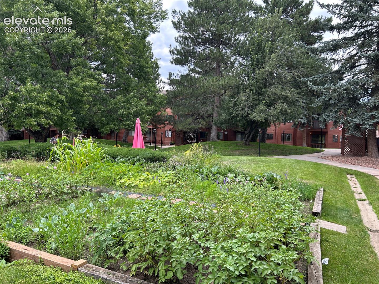Beautiful community garden