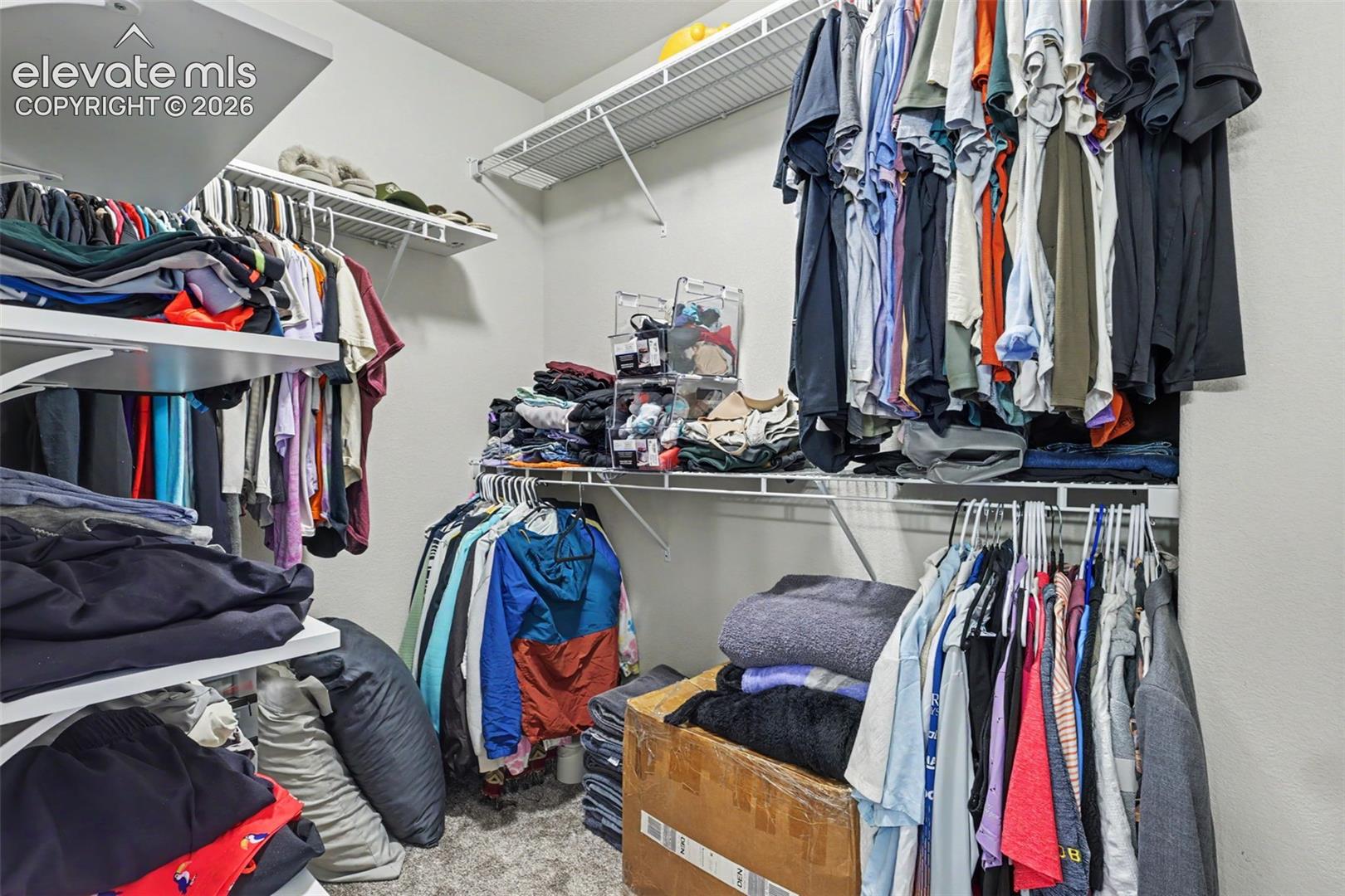 Primary Closet