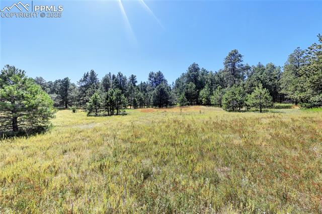 Photo 9 of 18380 Black Squirrel Road, Colorado Springs