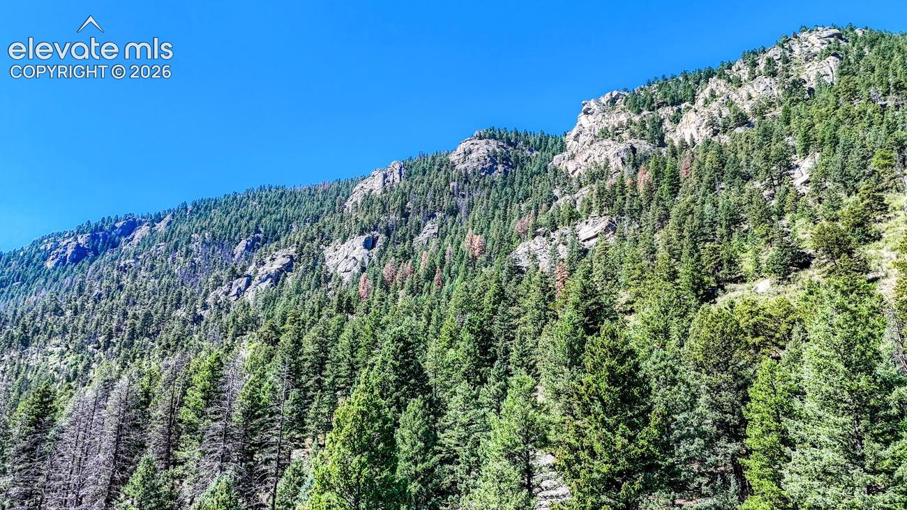 6630 Spruce Ave, Green Mountain Falls, CO 80819