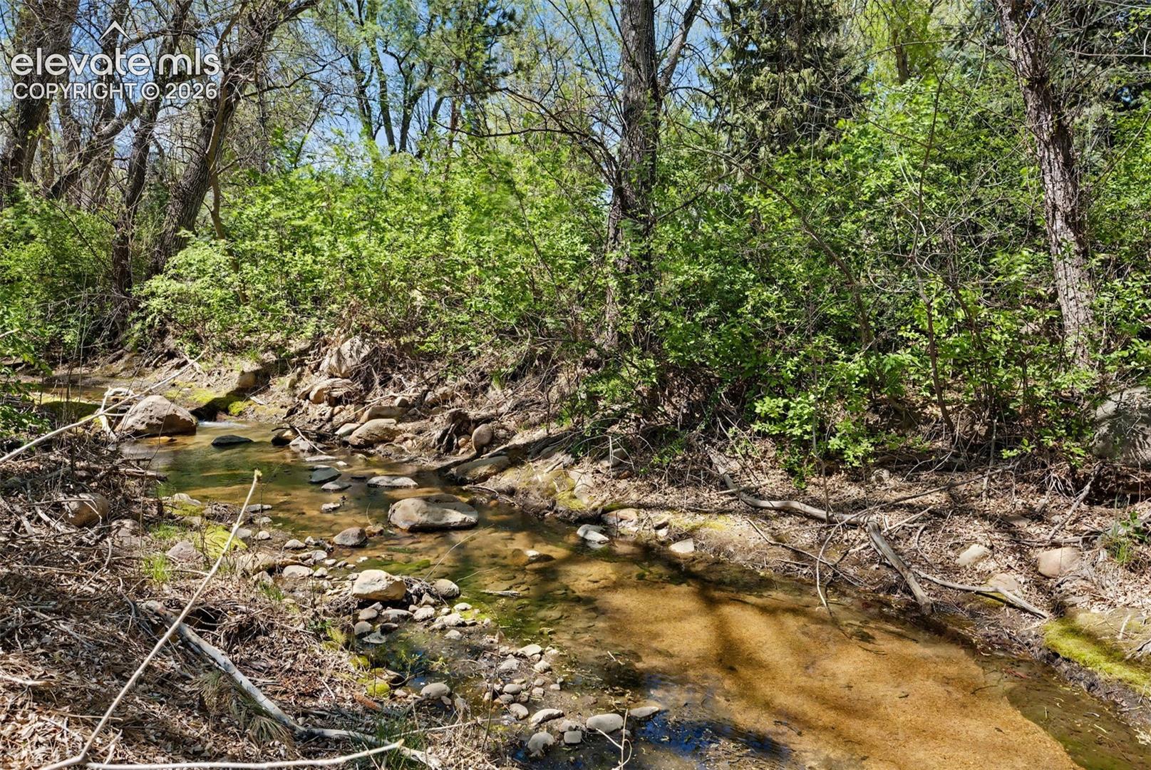 Stream at back of property