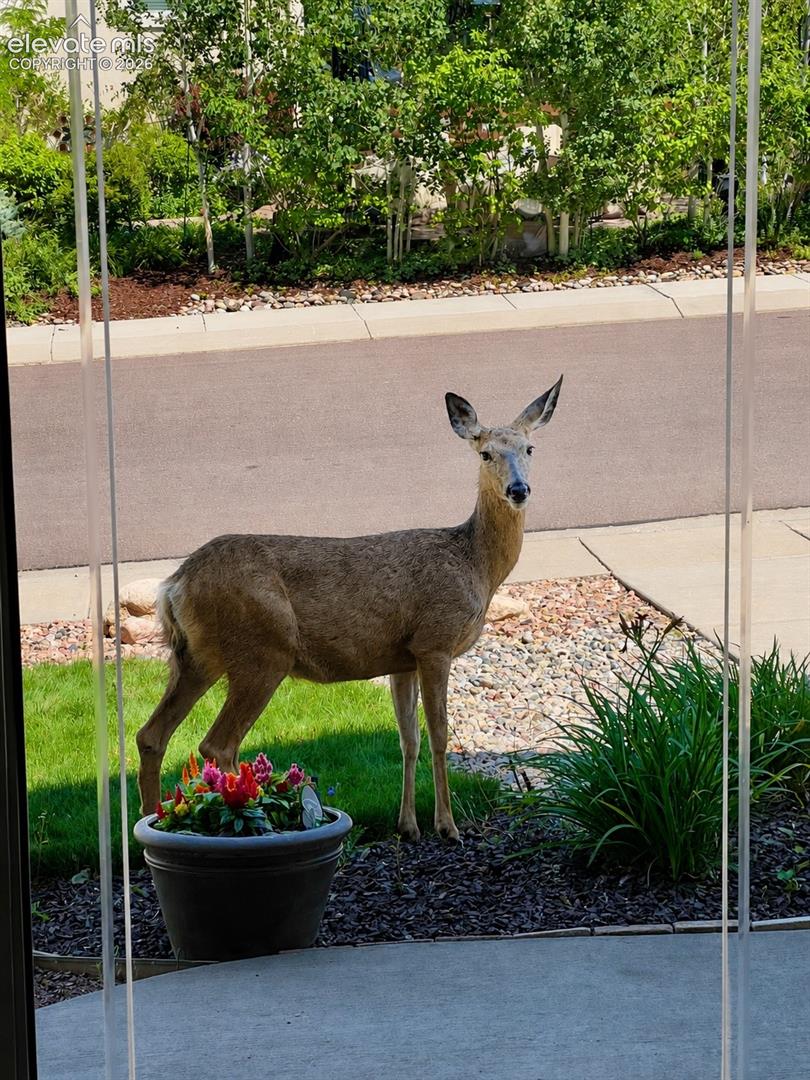 Enjoy the abundance of wildlife