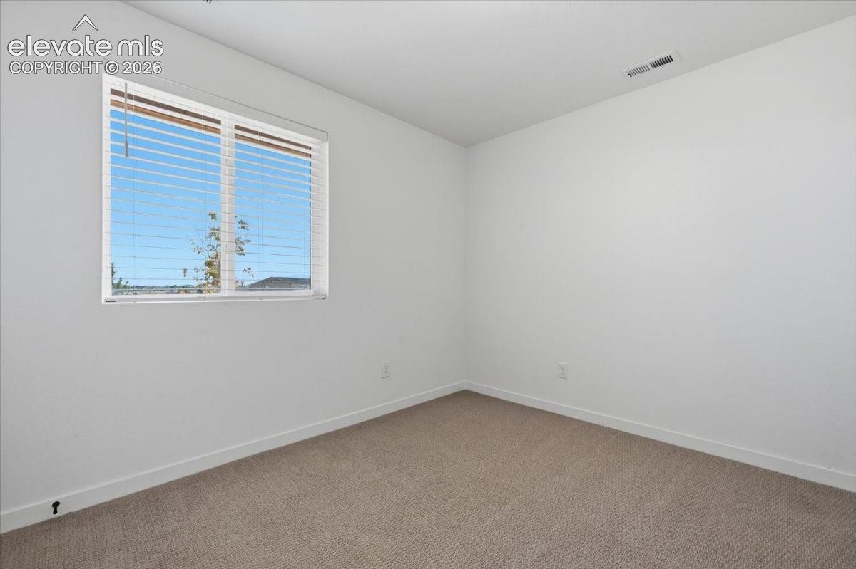 3rd Lower Level Bedroom