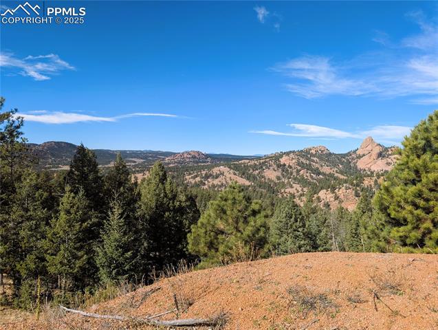 130 Lookout Rd, Cripple Creek, CO 80813