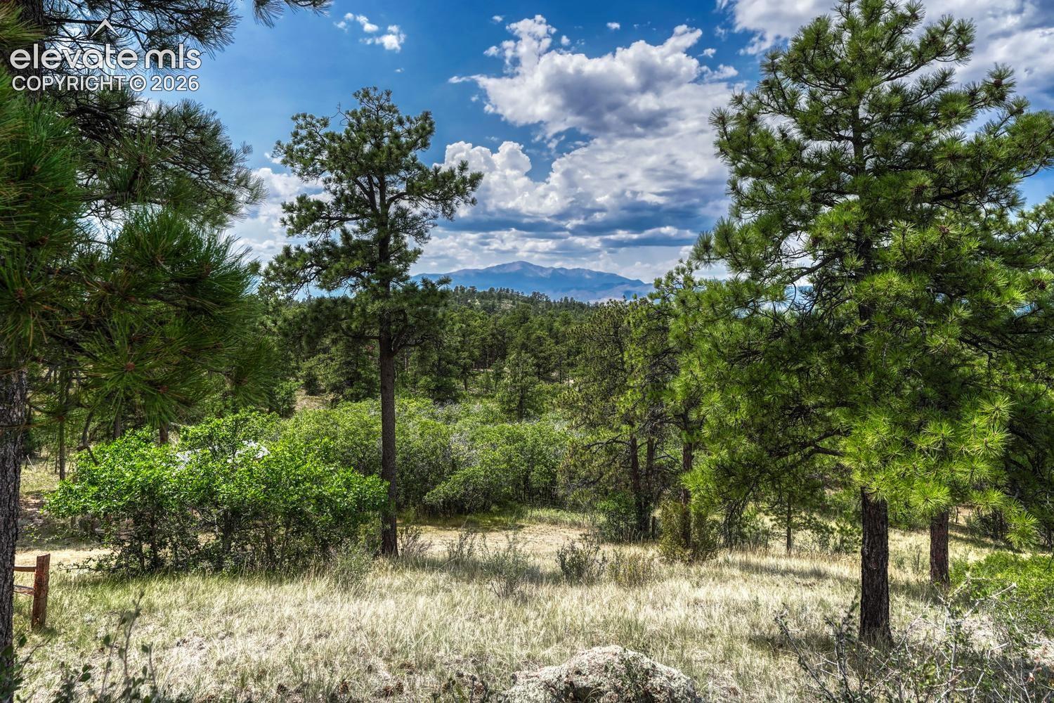 Beautiful Pikes Peak views through the trees.