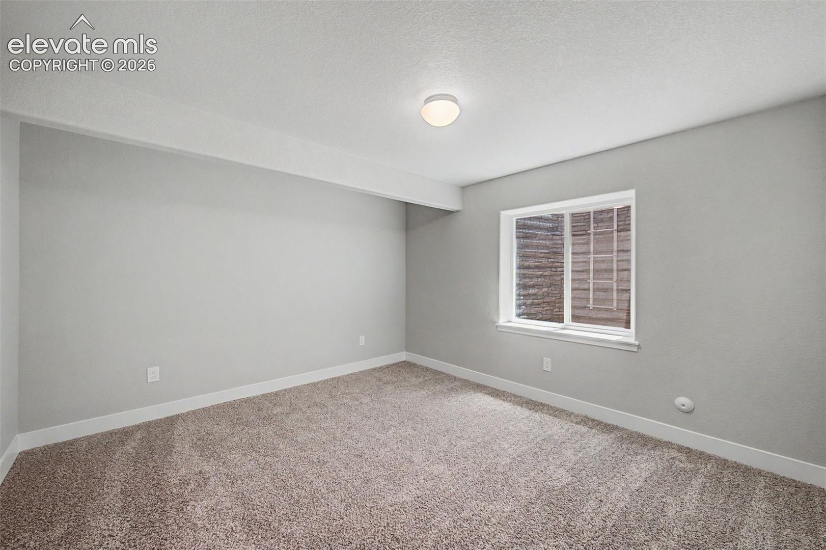 Room featuring a neutral color palette, plush carpeting, white trim, and a window with a white frame