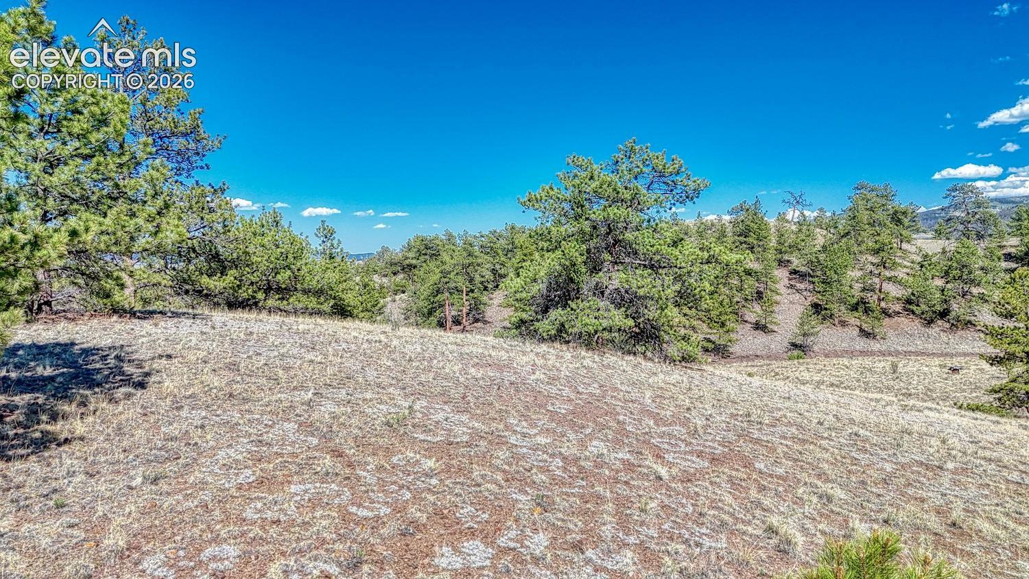 Photo 14 of Lot 11 Highway 9, Hartsel