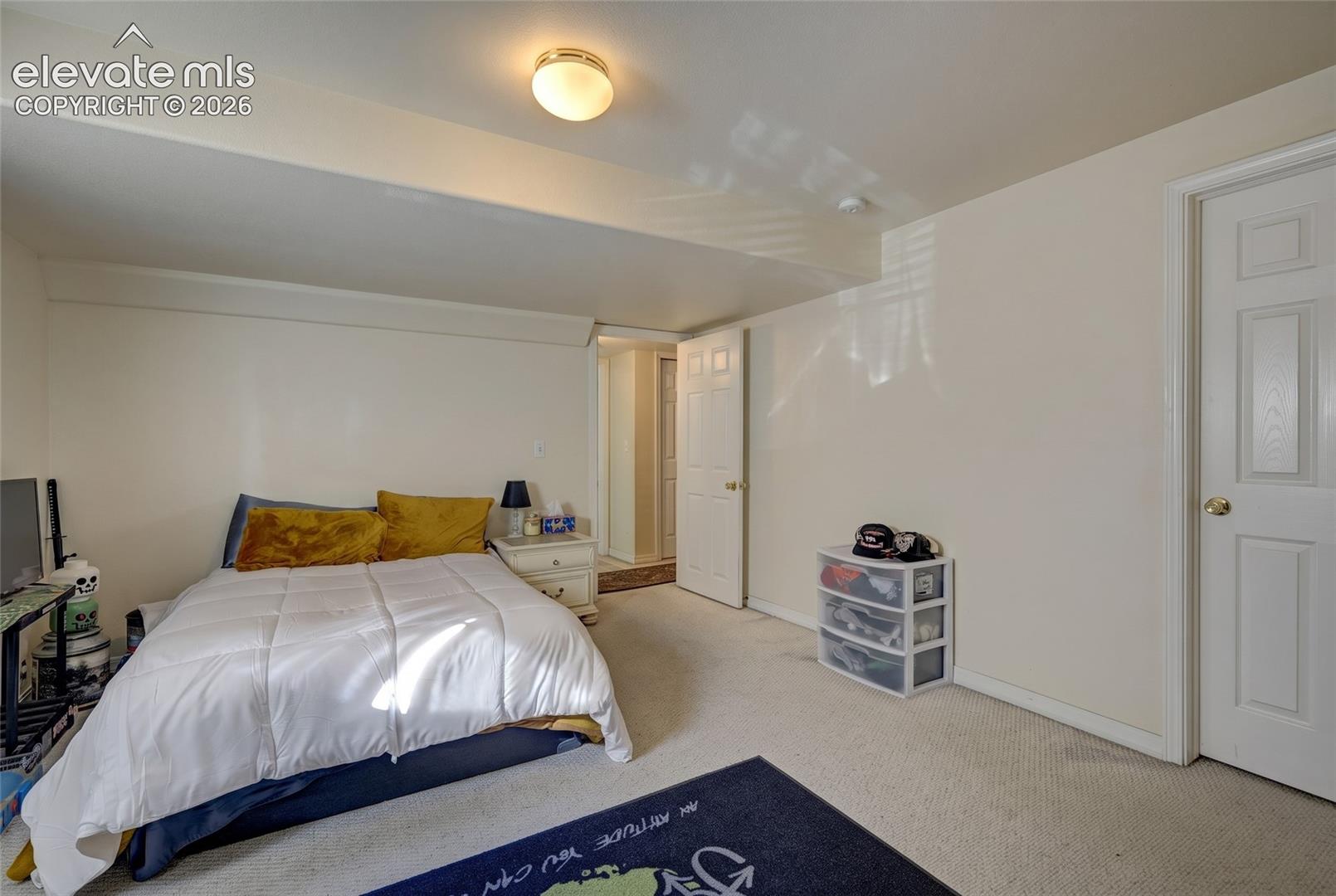 Neutral-toned room featuring wall-to-wall carpeting, a flush-mount ceiling light fixture, and a six-panel interior door
