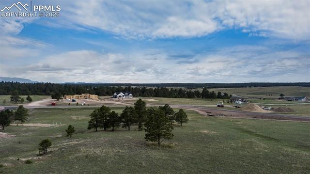 Photo 8 of 11516 Bison Meadows Court, Colorado Springs