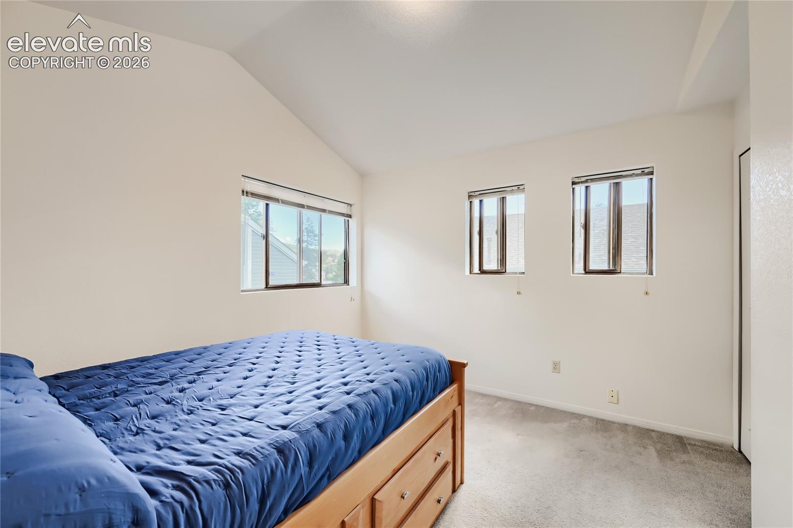 Bright secondary bedroom with multiple windows providing natural light, carpeted flooring, and clean white walls