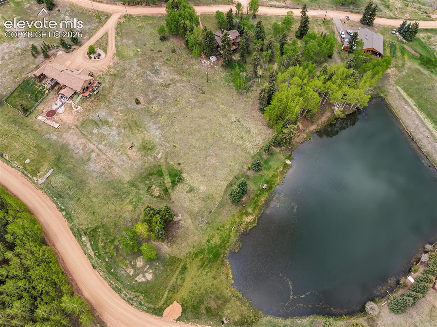 689 Divide South Dr, Divide, CO 80814
