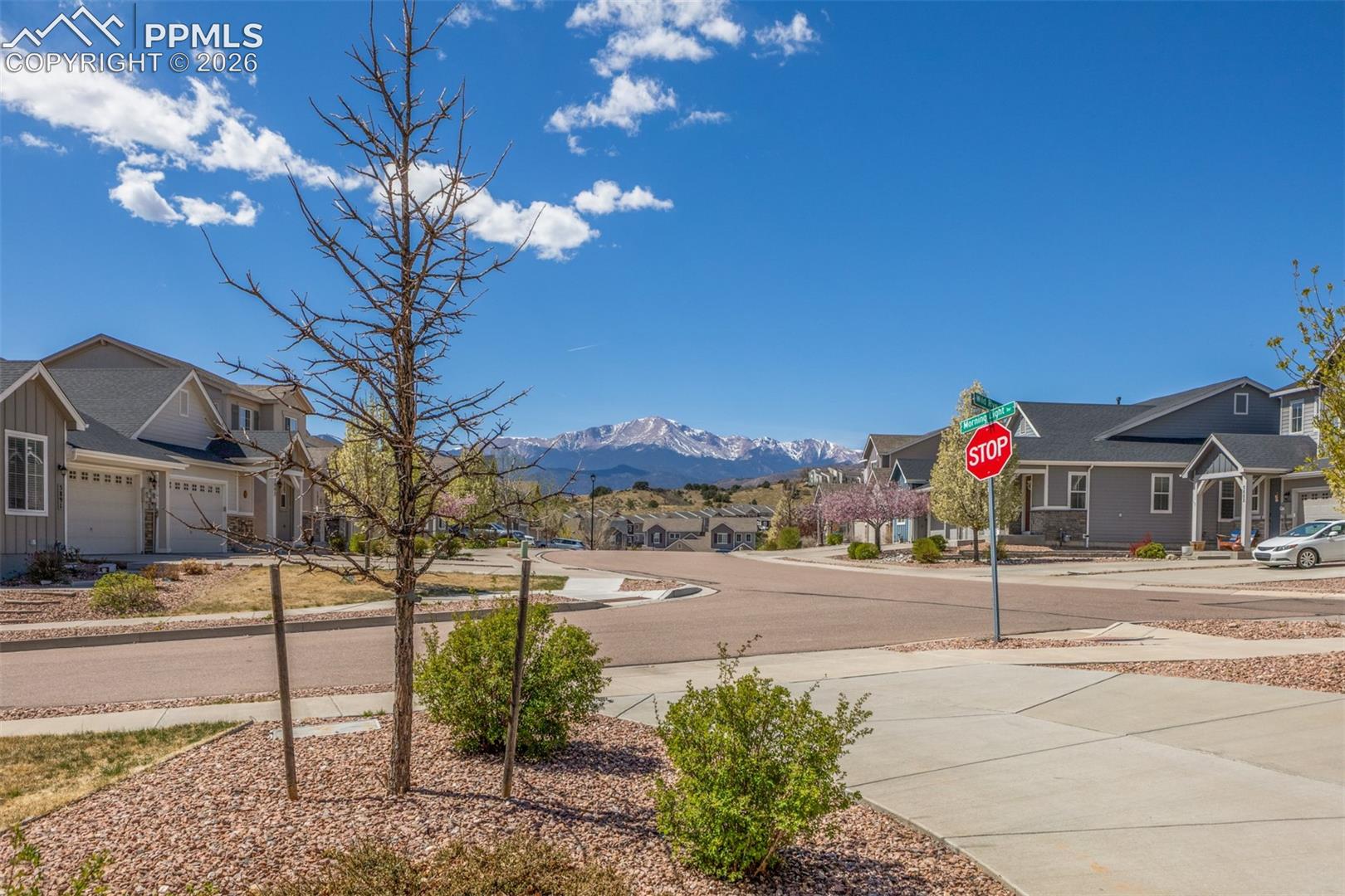 Photo 7 of 5877 Wild Rye Drive, Colorado Springs