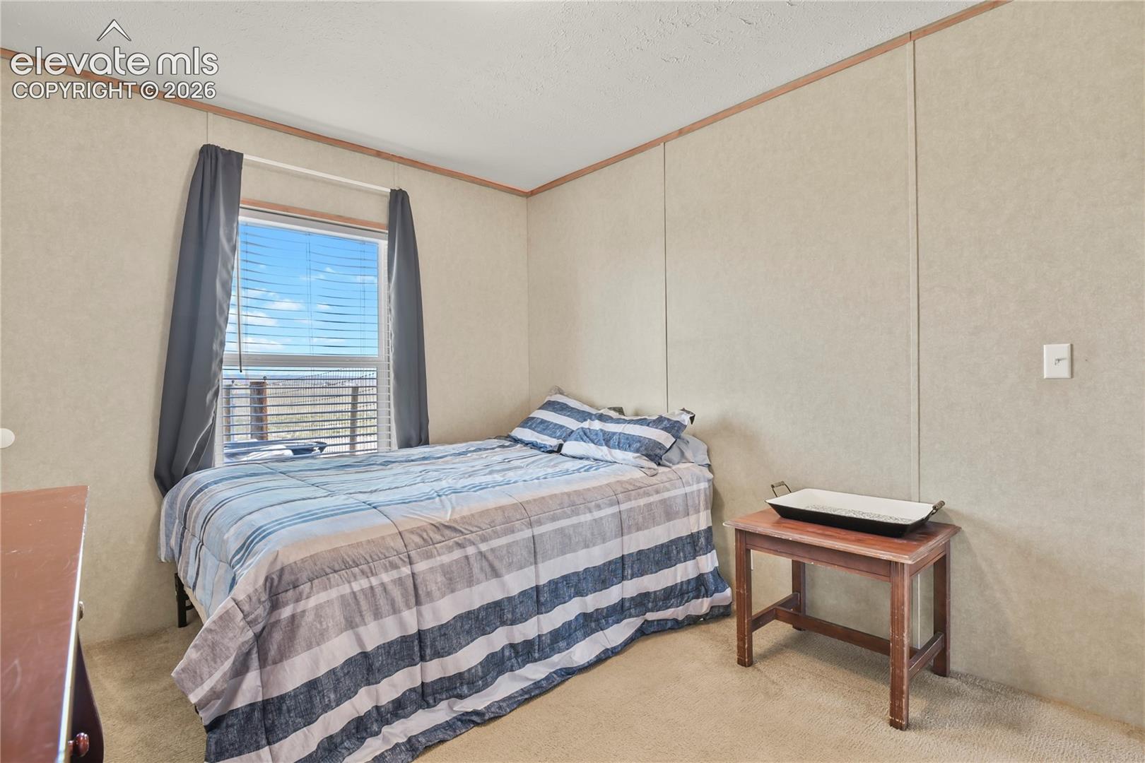 Neutral-toned wall paneling, carpeting, and a single-pane window with exterior scenery