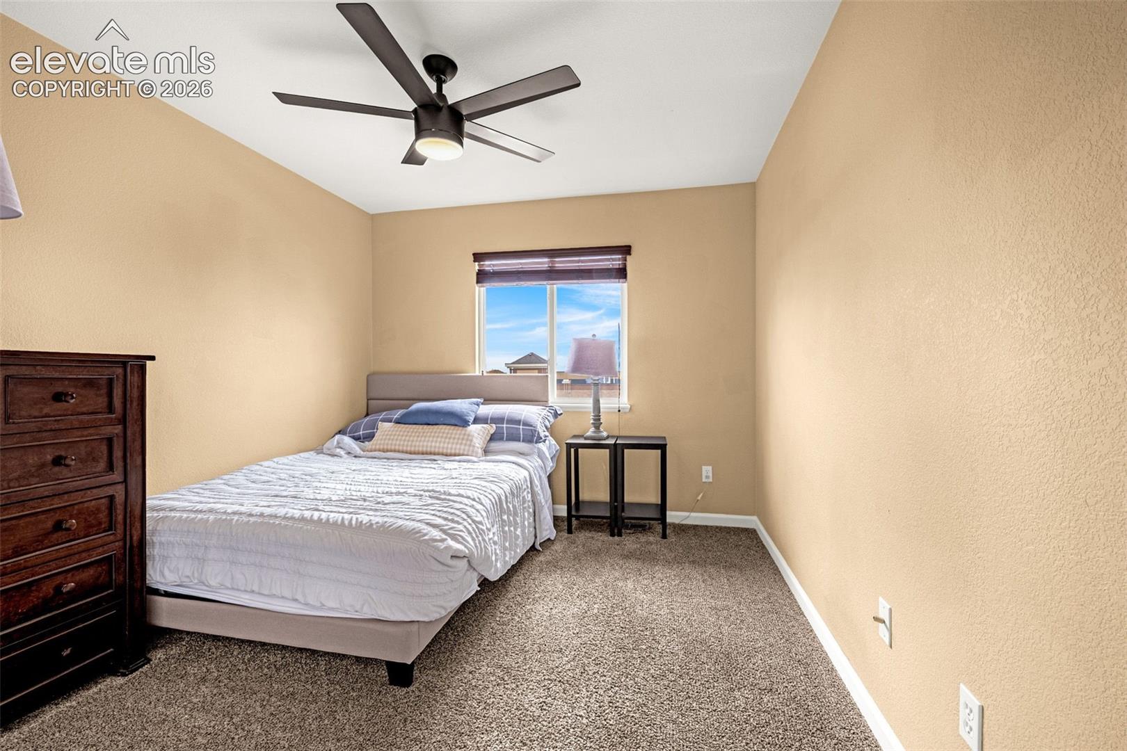 Neutral-toned walls, textured carpet, and a matte-finish ceiling fan with integrated lighting