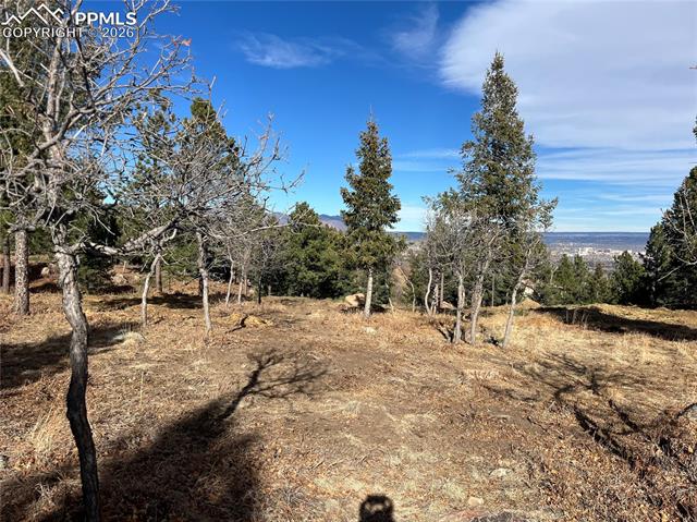 Photo 10 of 920 Grey Mountain Point, Colorado Springs