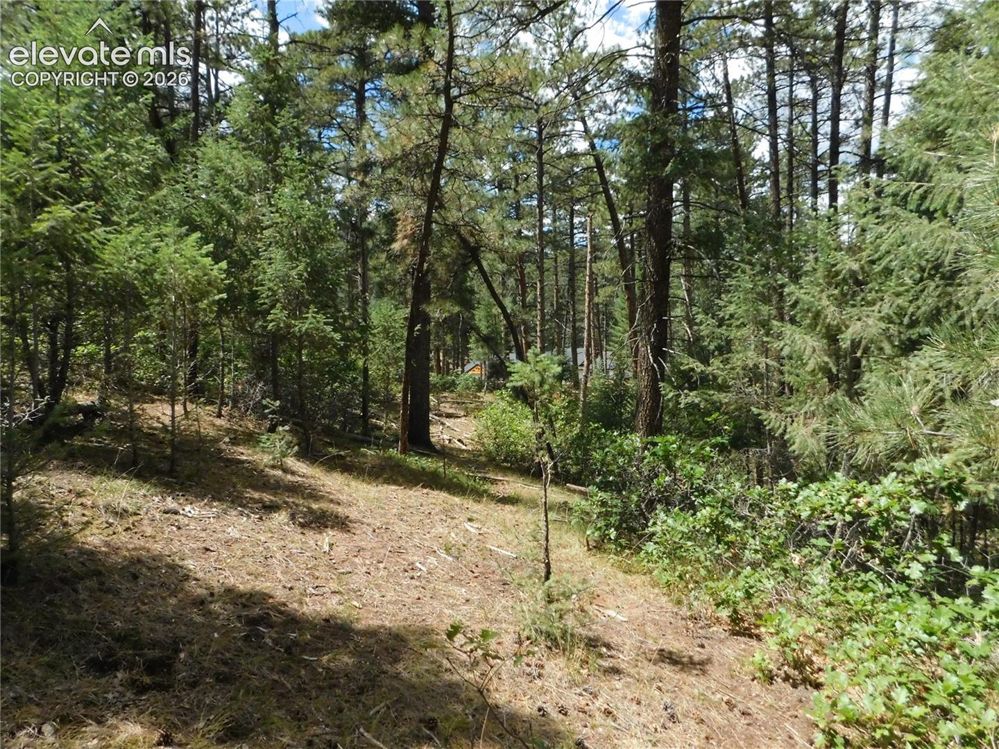 Photo 16 of 8139 Bannock Drive, Larkspur