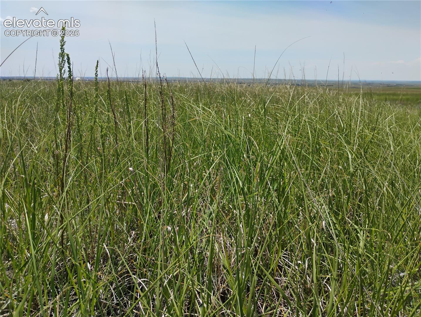 Photo 16 of 29455 Tallgrass View, Calhan