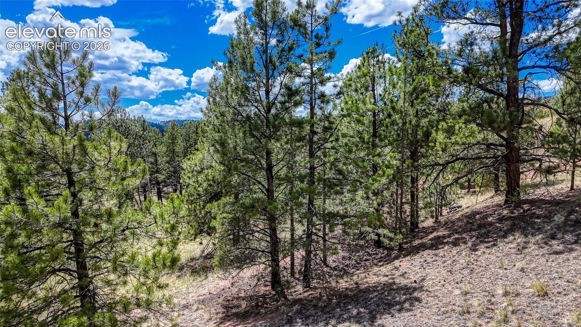 Photo 8 of 218 Princess Road, Cripple Creek