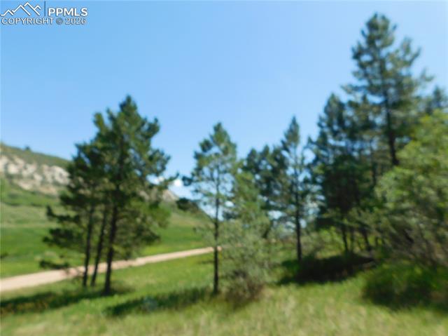 Photo 30 of 4668 Comanche Drive, Larkspur