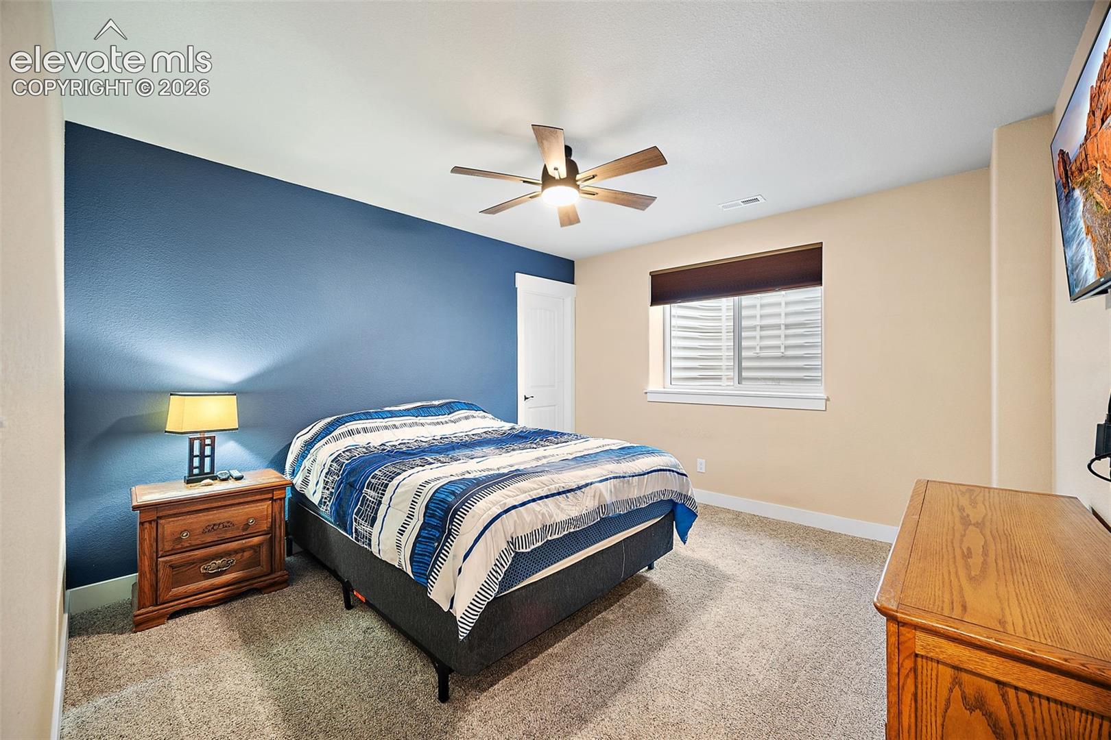 Lower level bedroom (5th bedroom)