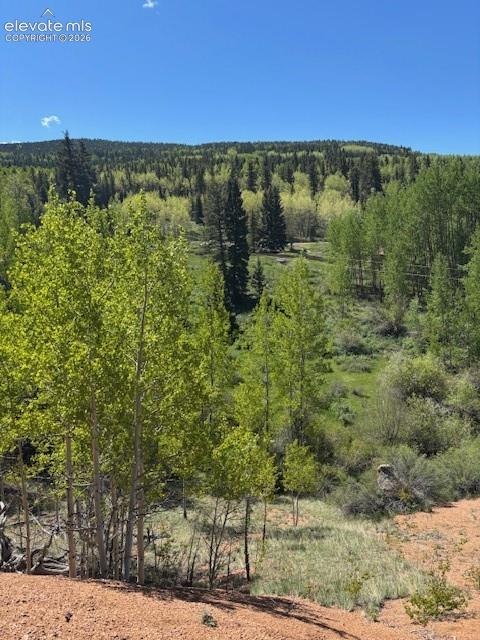 124 Yorktown Rd, Cripple Creek, CO 80813