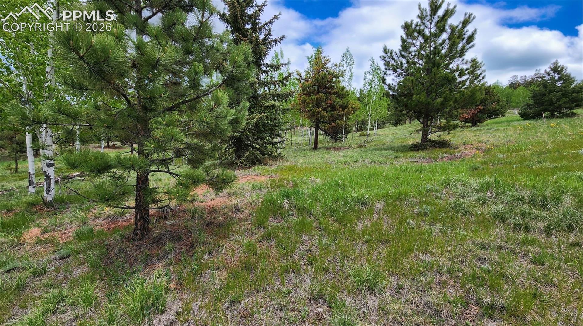 Photo 10 of 210 Bridlewood Lane, Woodland Park