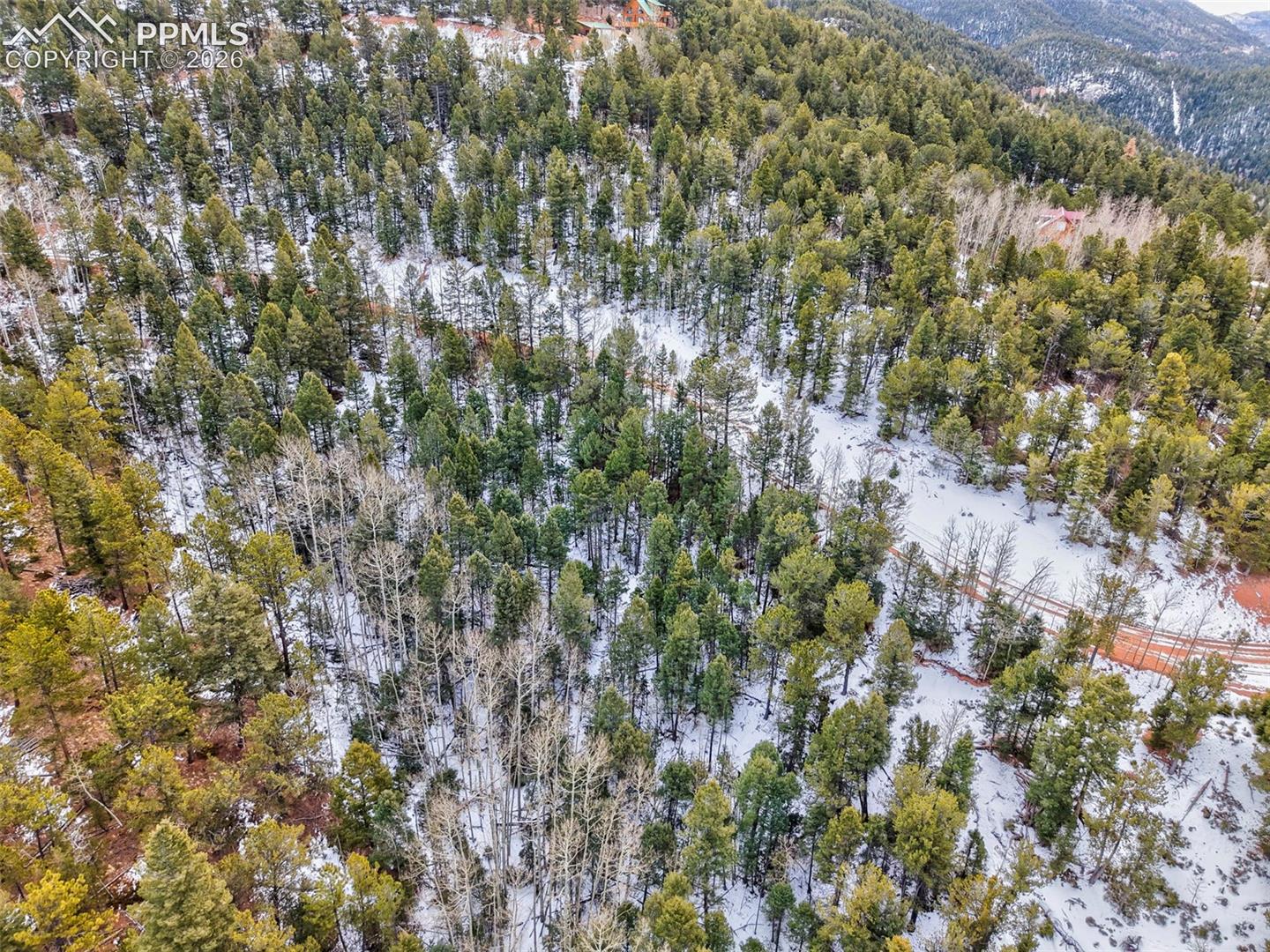 165 Witherite Dr, Divide, CO 80814