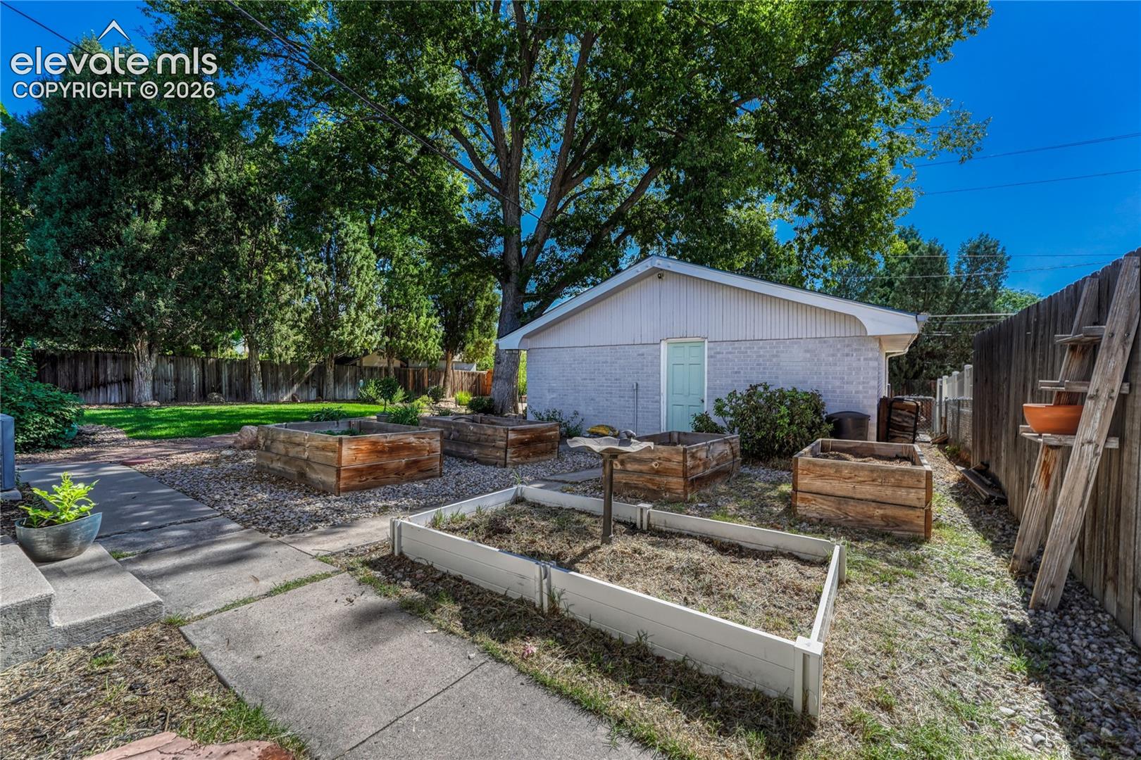 Backyard