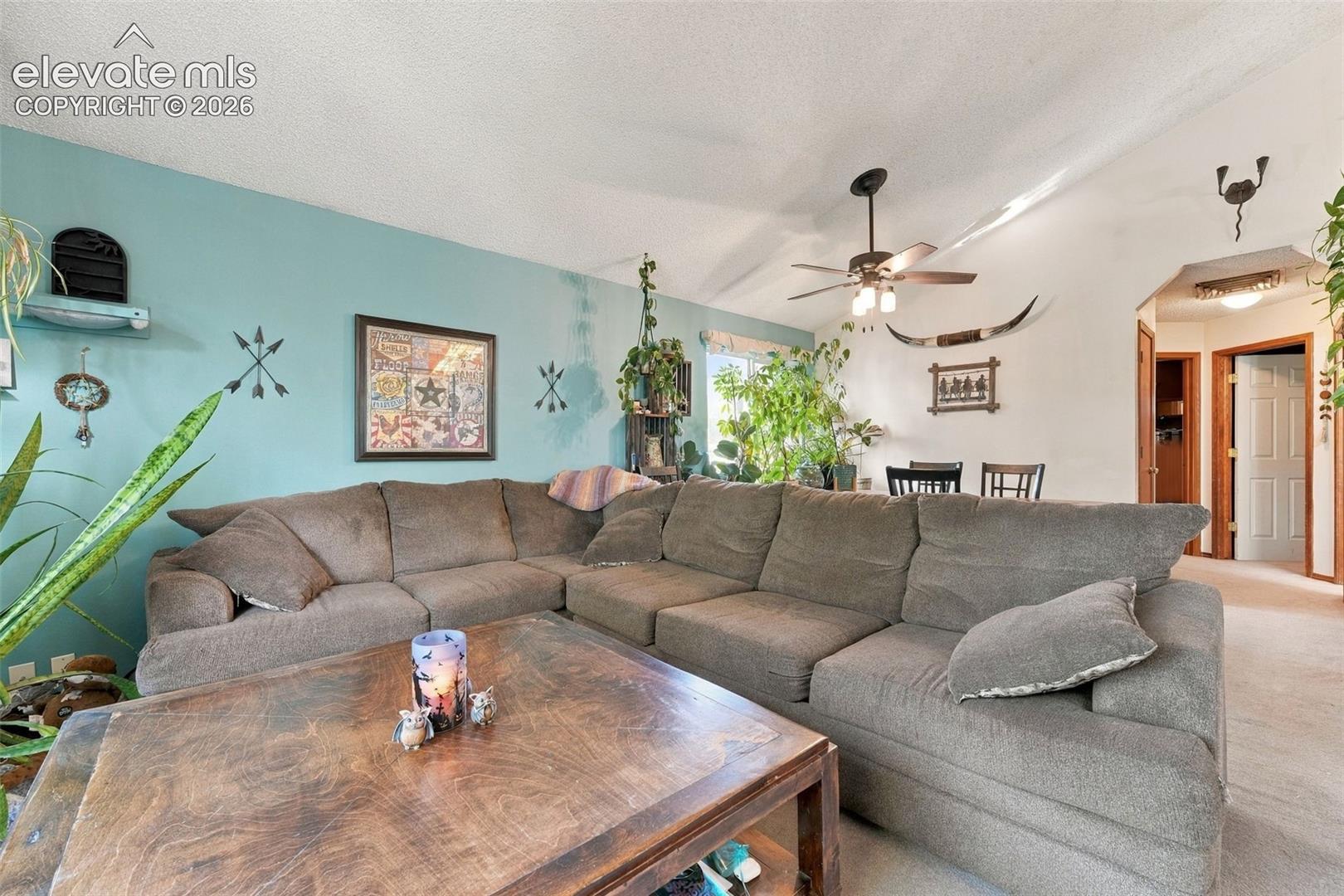 Vaulted ceiling with an integrated multi-blade ceiling fan, expansive wall space with a vibrant accent color, and an arched architectural opening