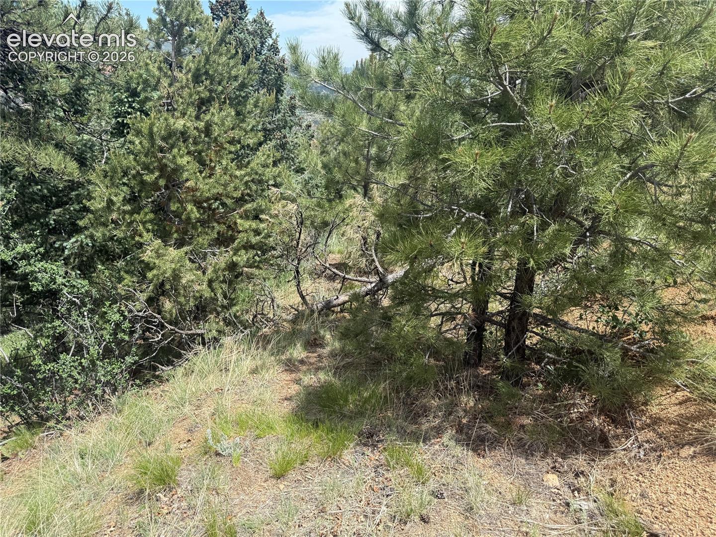 Photo 13 of 358 Sugarloaf Road, Manitou Springs