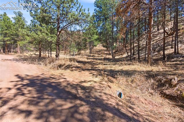 Easement off of Packard. Not public property. Approval needed to use.