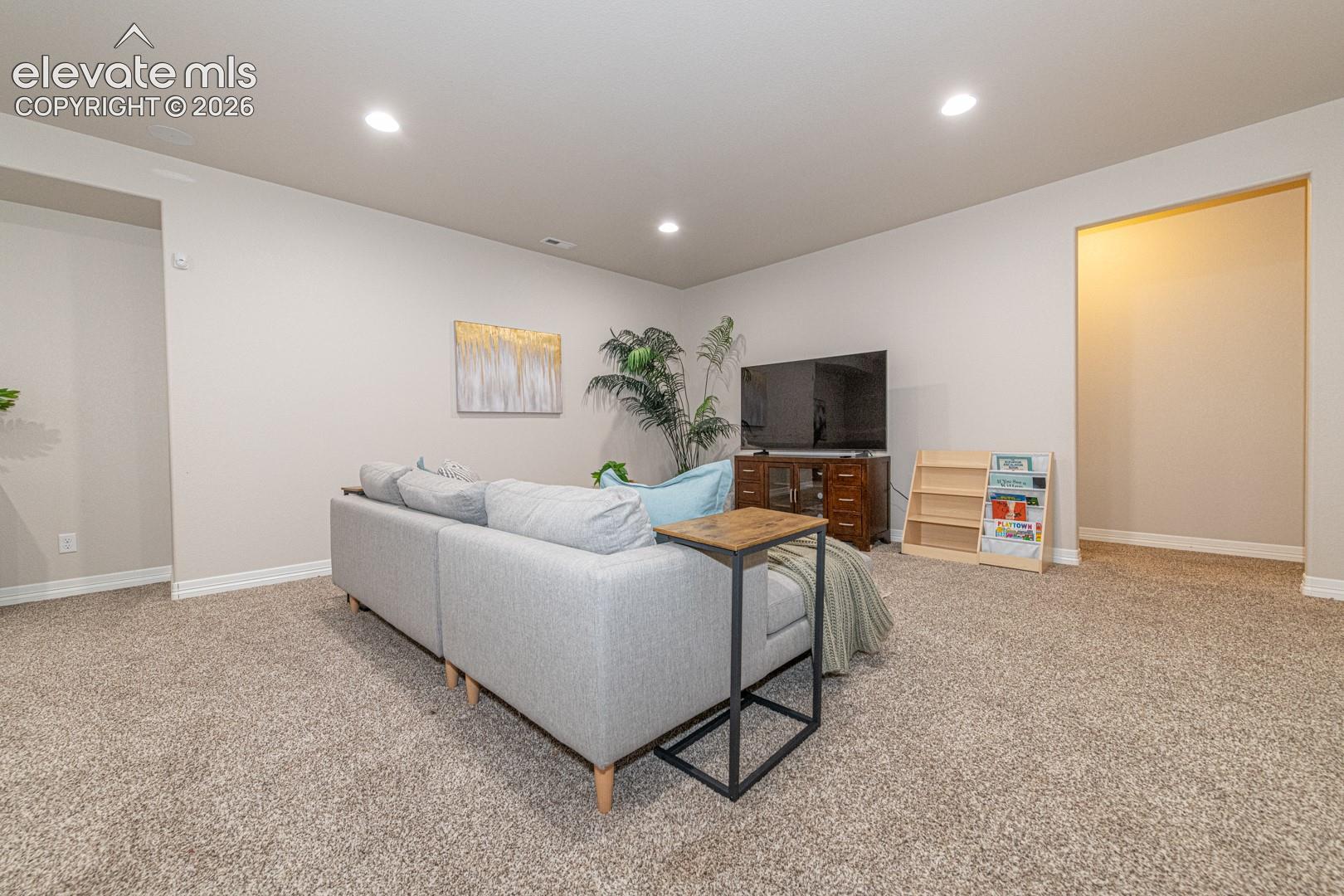 Basement Family Room