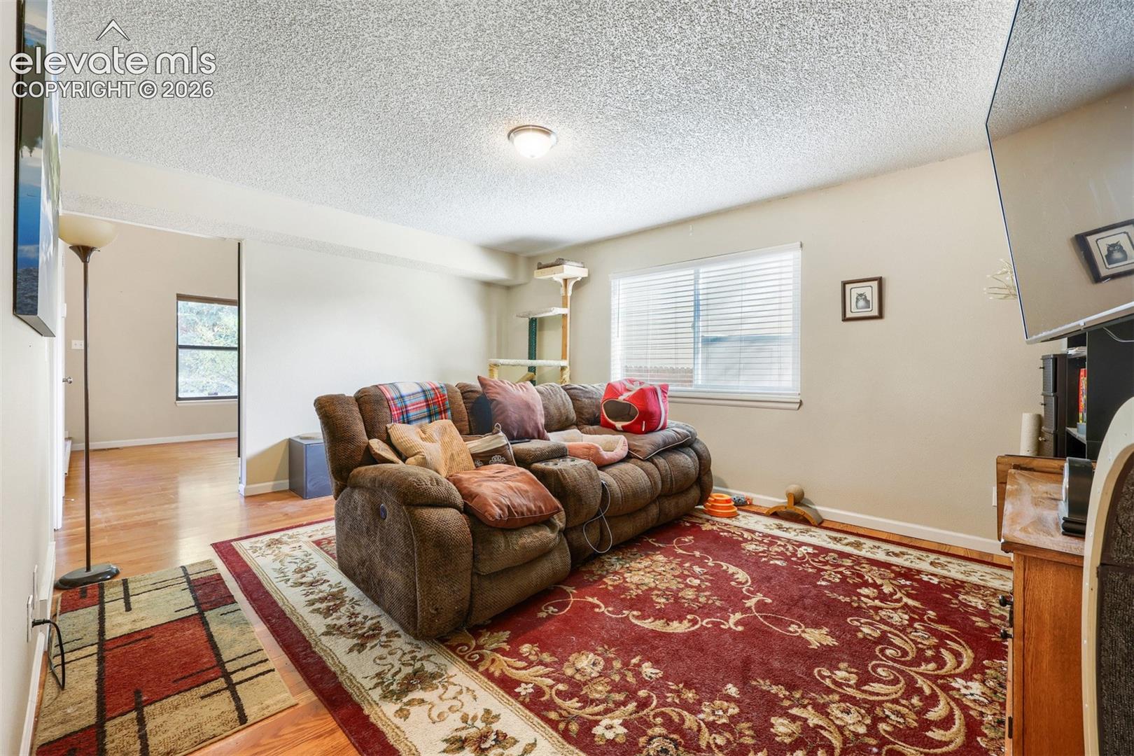 Photo 5 of 975 Hartell Drive, Colorado Springs