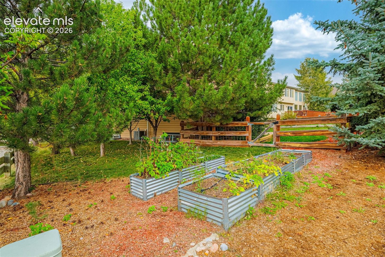 Raised garden beds with plantings, mature trees, and a wooden fence with gate