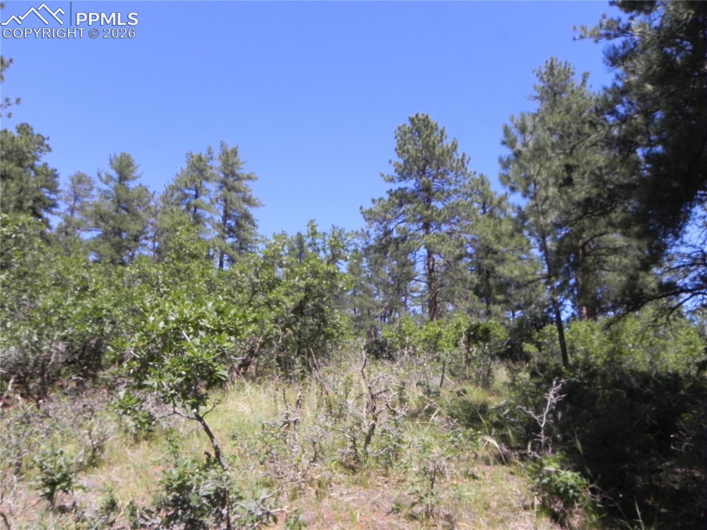 Photo 26 of 4144 Cheyenne Drive, Larkspur