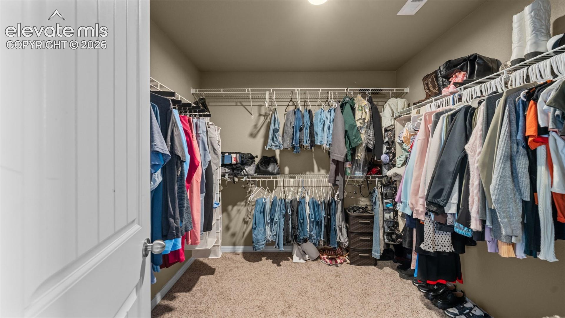 Walk-in closet featuring carpet flooring, built-in wire shelving, hanging rods, and a white paneled door