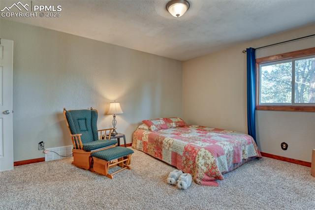 Bedroom featuring carpet and a textured ceiling