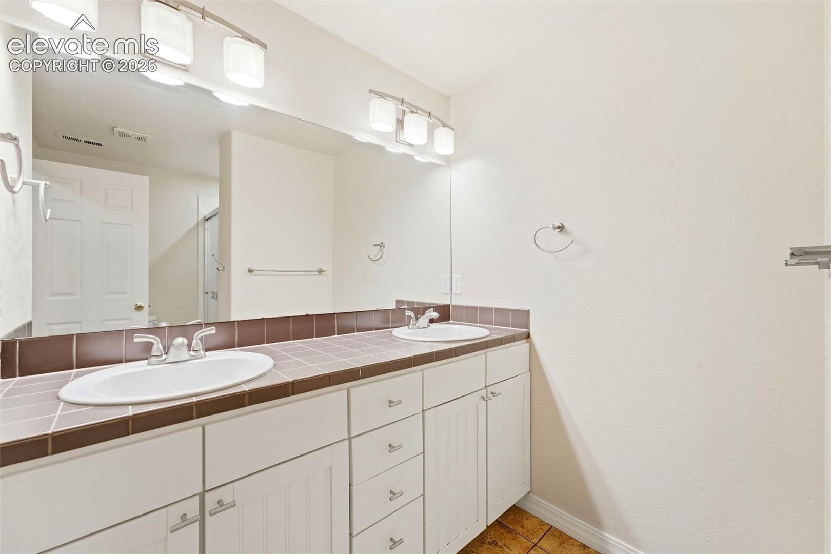 Bathroom in Basement features Dual Vanity Space