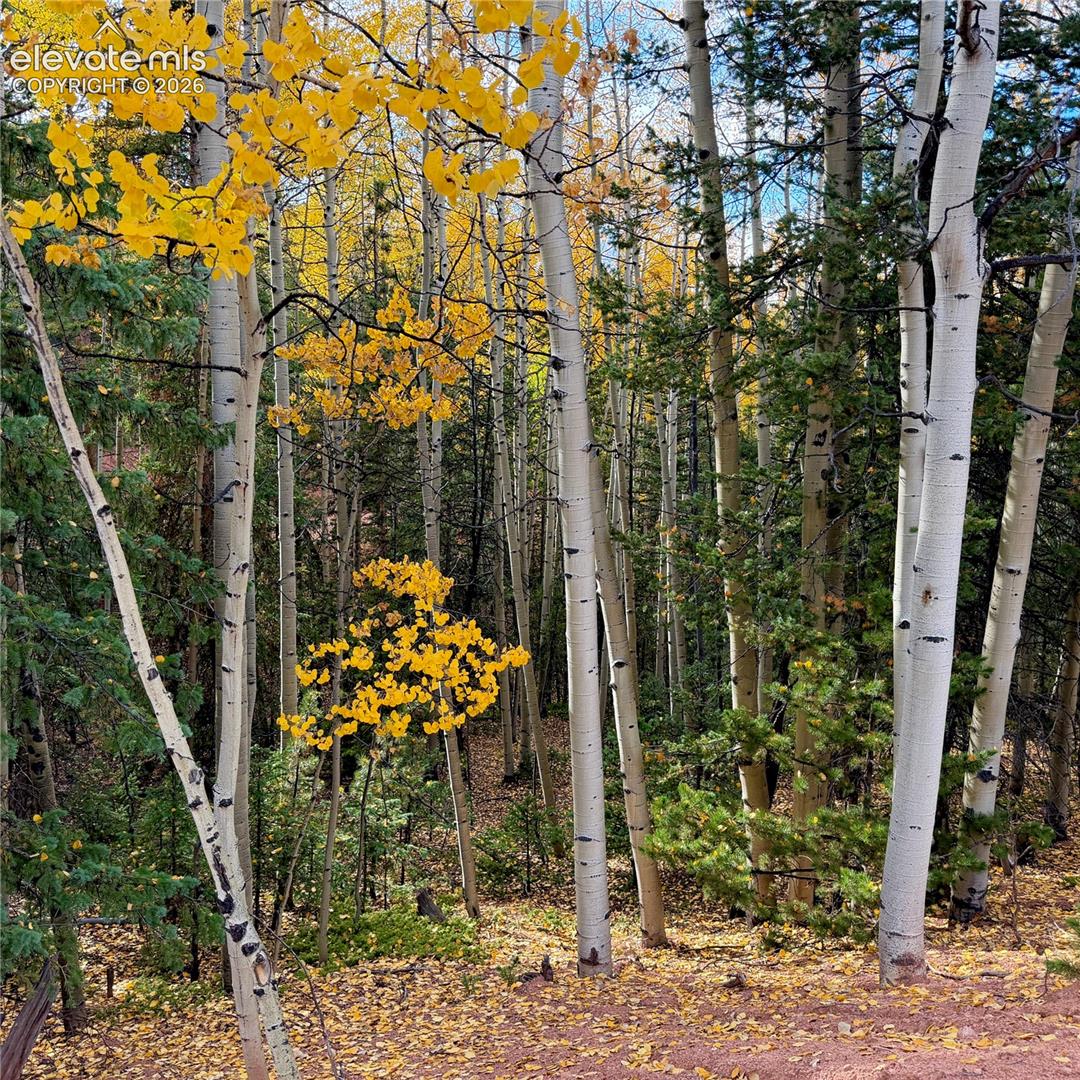 Photo 6 of 1341 Calcite Drive, Divide