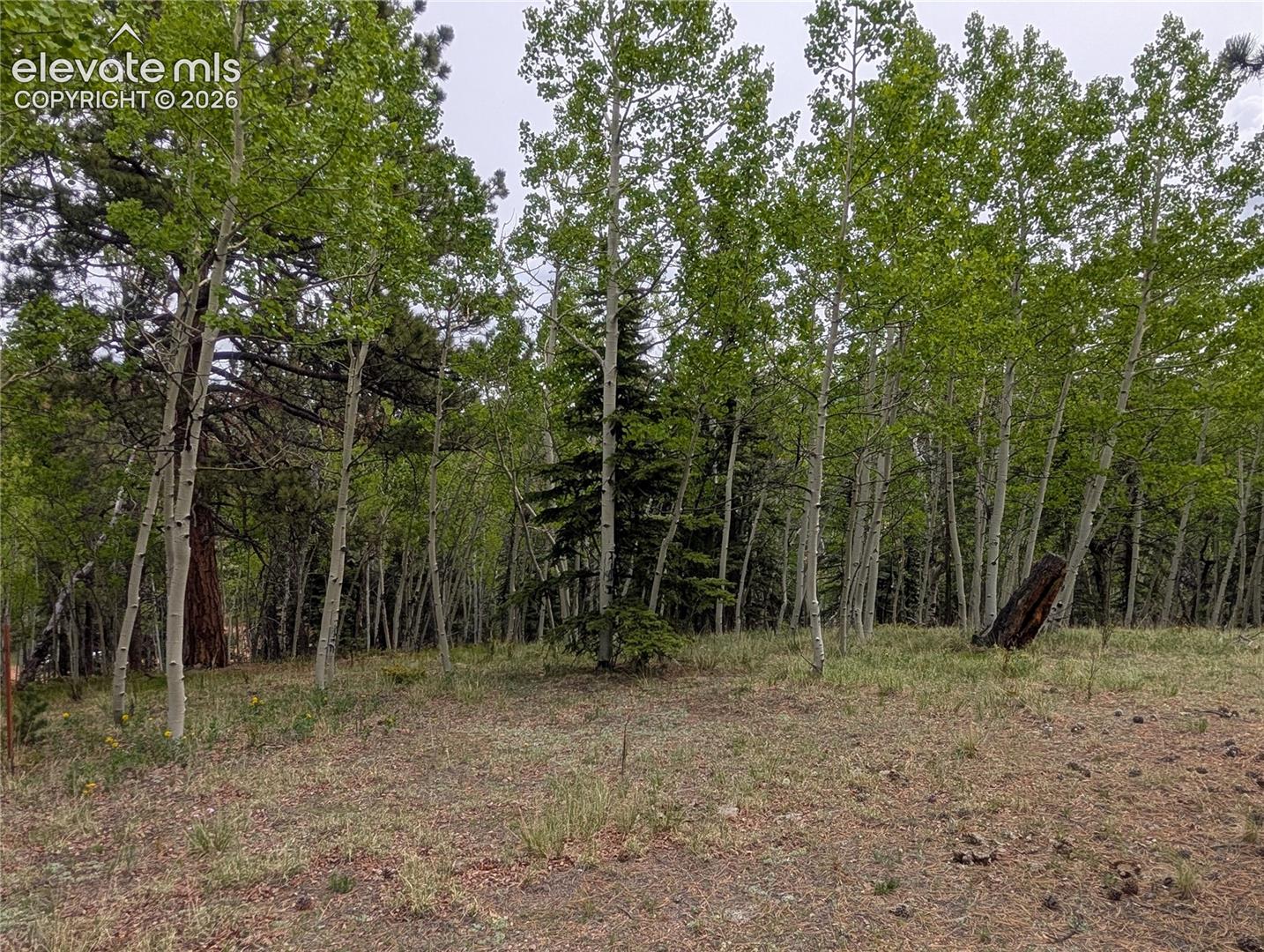 Photo 19 of 16 Princess Lane, Cripple Creek