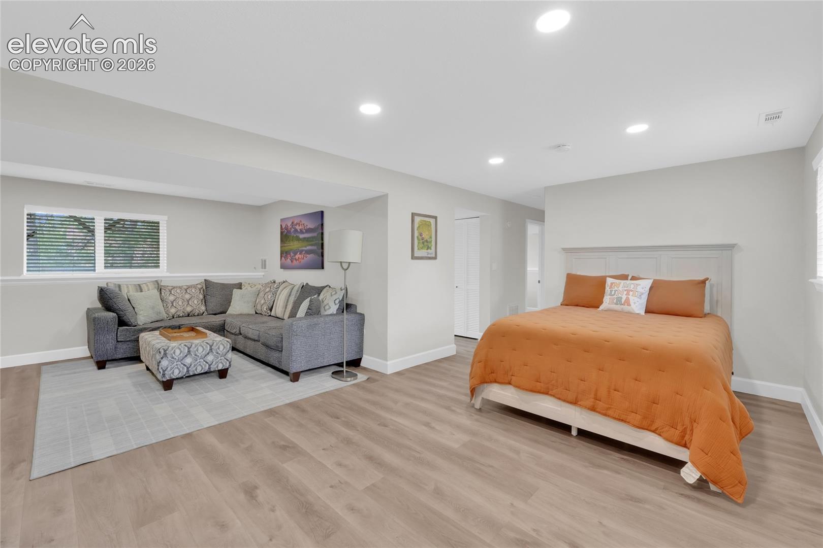 Lower level family room area.