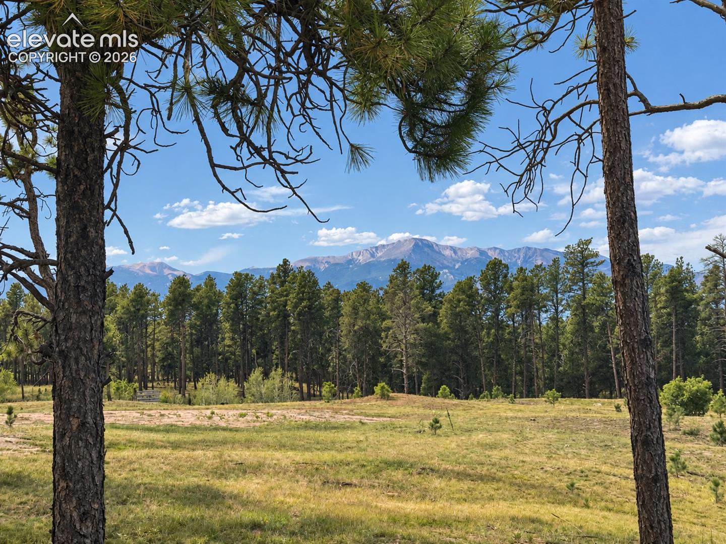 Pikes Peak Views and expansive, treed sloping lot