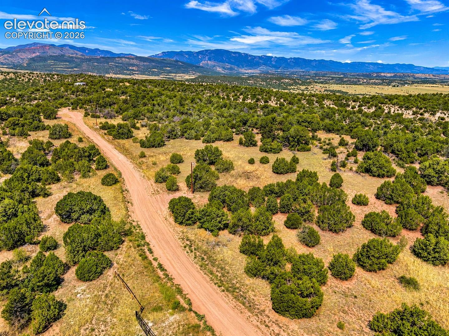 Impressive mountain views rising above rolling foothills and mature juniper trees, showcasing the beauty of Colorado's rugged landscape.

