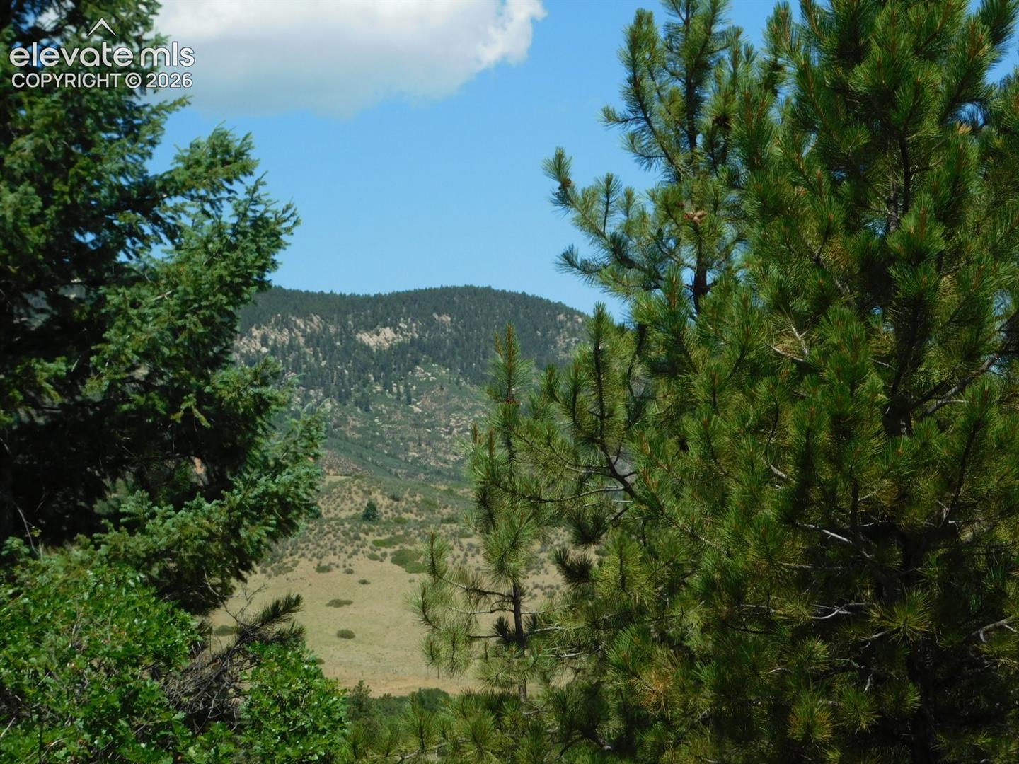 Photo 41 of 6447 Thunderbird Road, Larkspur