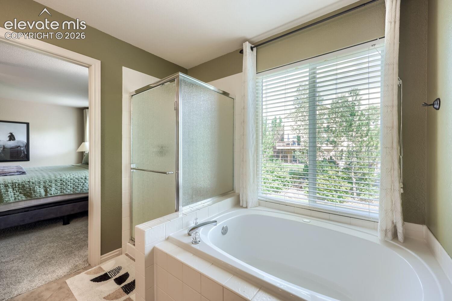 Photo 38 of 1586 Lily Lake Drive, Colorado Springs