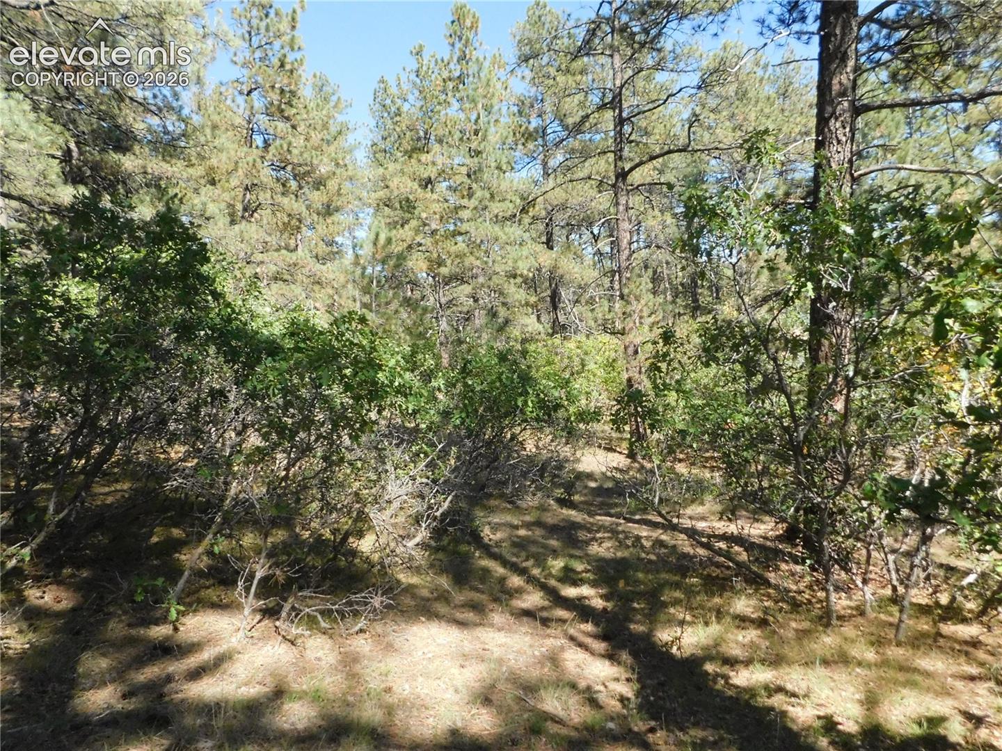 Photo 17 of 773 Copper Fox Place, Larkspur