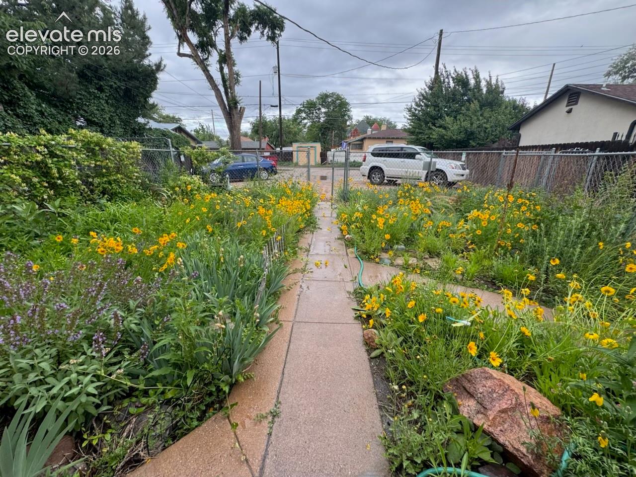 Paved pathway flanked by flowering plants and established trees