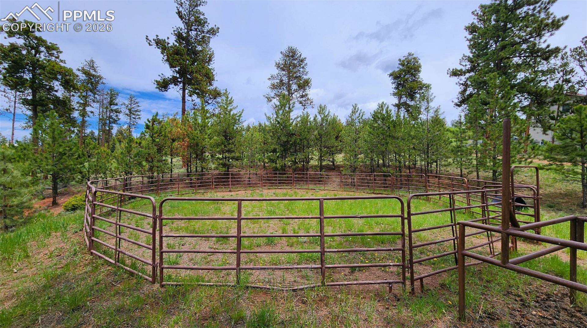 Photo 11 of 210 Bridlewood Lane, Woodland Park