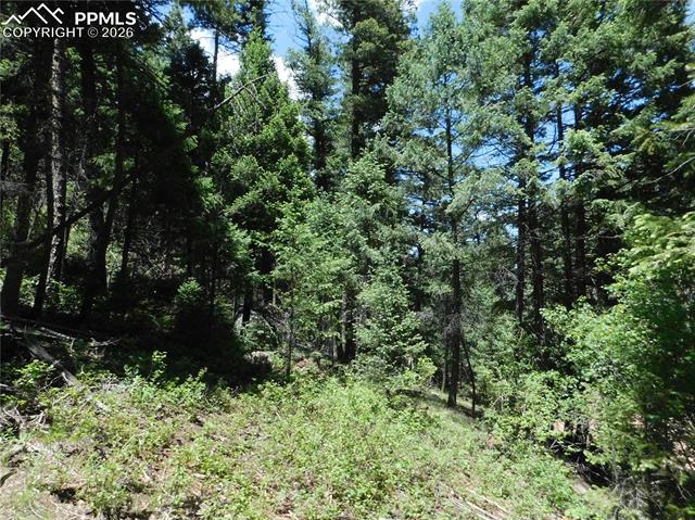 Photo 15 of 13175 Spruce Creek Circle, Larkspur