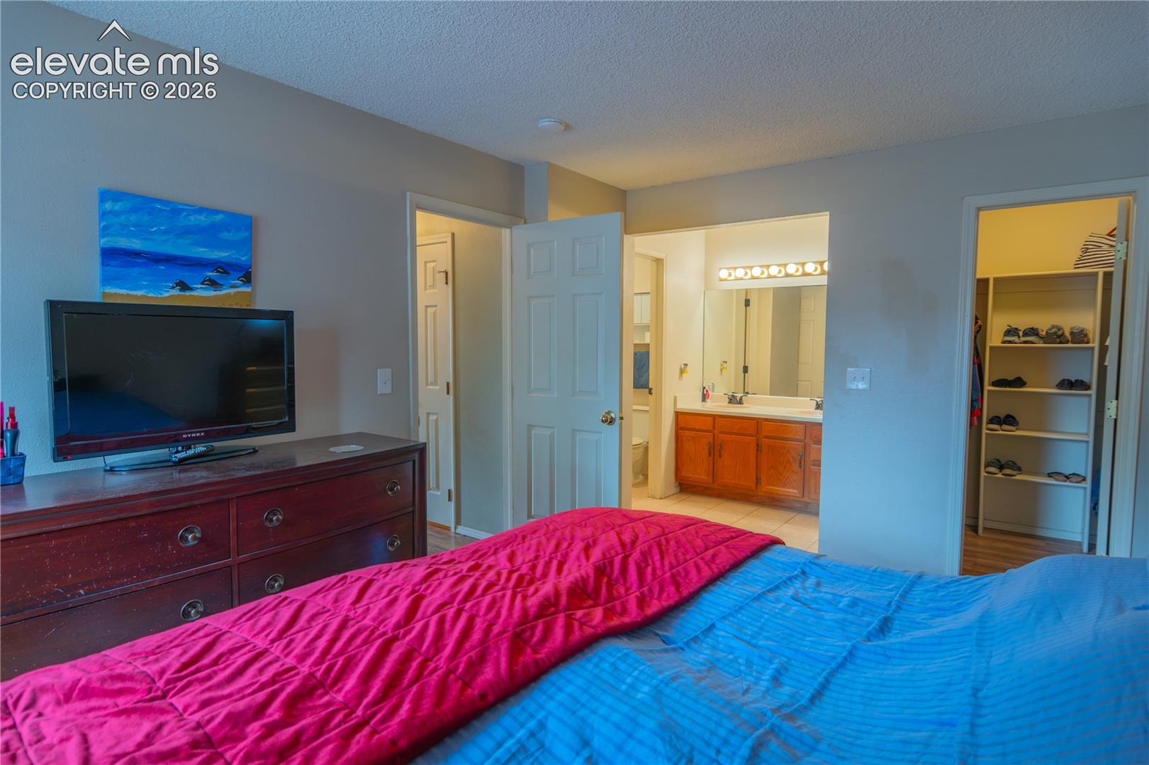 Integrated bathroom access, walk-in closet with built-in shelving, vanity with dual sinks, and a large wall mirror with overhead lighting